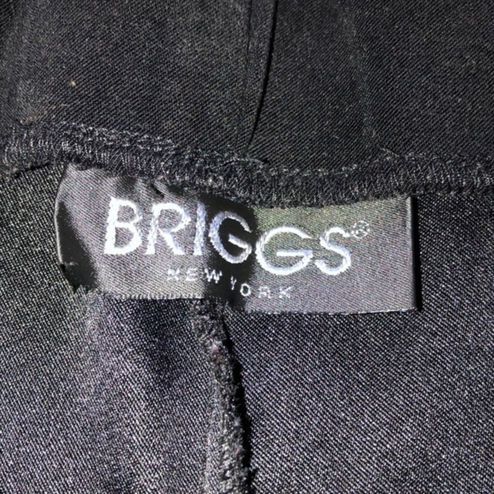 briggs - Picture 3 of 3